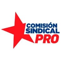 Comision-sindical-pro